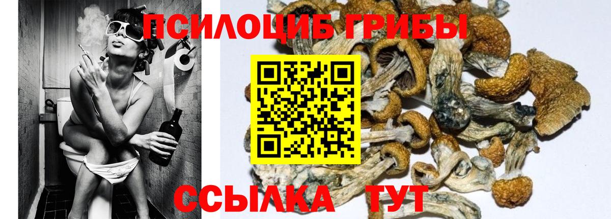 Галлюциногенные грибы Cubensis Амурск