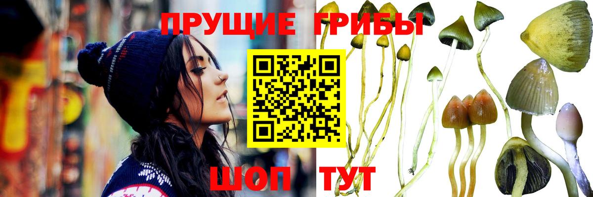 сколько стоит  Галлюциногенные грибы Psilocybe  Вход с VPN  Амурск 